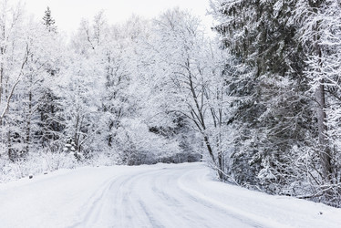 Similar image 18135932