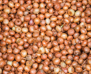 Similar image 18136153