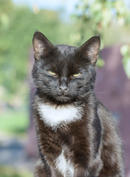 Similar image 17819265