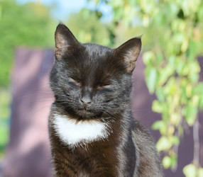 Similar image 17819266