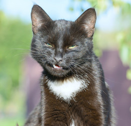 Similar image 17819279