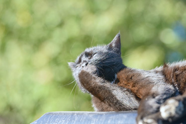 Similar image 17819280