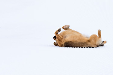 Similar image 17819306