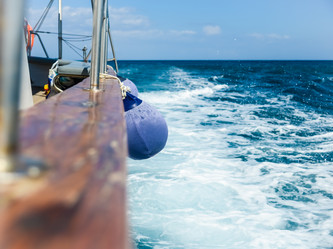 Similar image 17819481