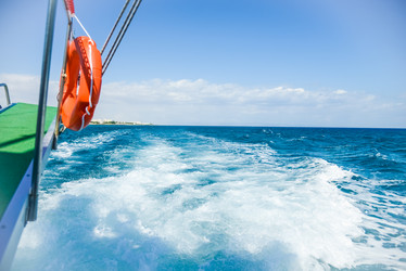 Similar image 17819482