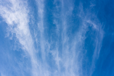 Similar image 17819901