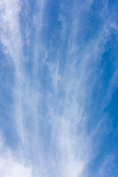 Similar image 17819902