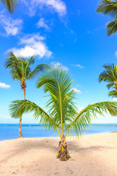 Similar image 17819919