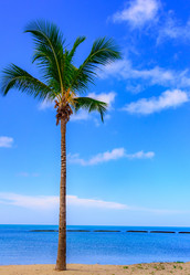 Similar image 17819935