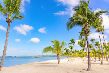 Similar image 17819936