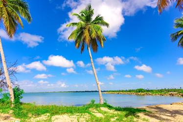 Similar image 17819952