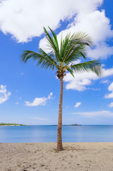 Similar image 17819961