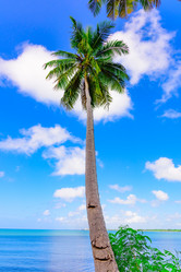 Similar image 17819962