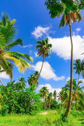 Similar image 17819981