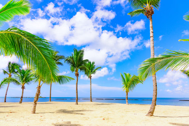 Similar image 17819982