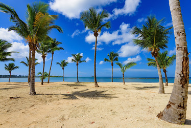 Similar image 17819998