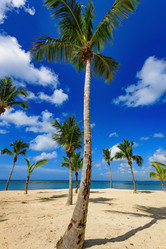 Similar image 17819999