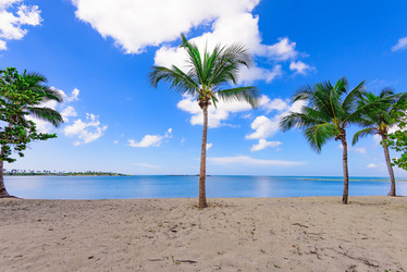 Similar image 17820017