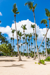 Similar image 17820019