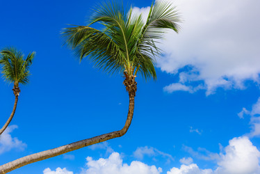 Similar image 17820020