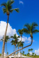 Similar image 17820041