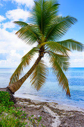 Similar image 17820074