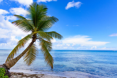 Similar image 17820075