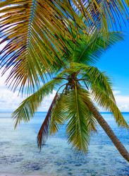 Similar image 17820076