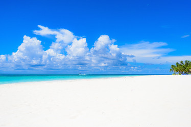 Similar image 17820077