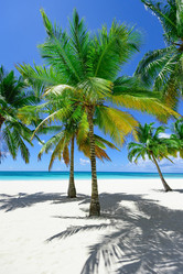 Similar image 18135638