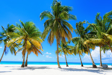 Similar image 18135659