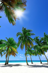 Similar image 18135660