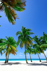 Similar image 18135676