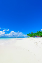 Similar image 18135677