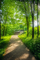 Similar image 17819286