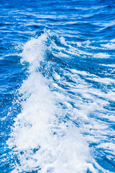 Similar image 17819484