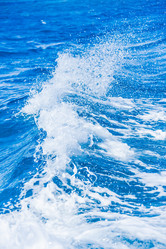 Similar image 17819500