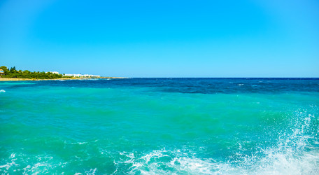 Similar image 17819645