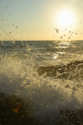 Similar image 17819659