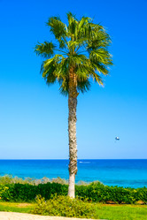 Similar image 17819679