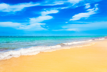 Similar image 17819687