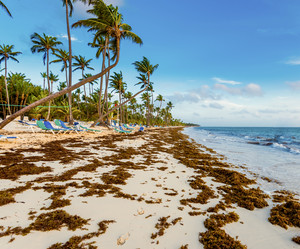 Similar image 17819677