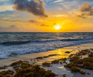 Similar image 17819680