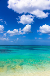 Similar image 17819694