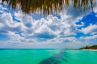 Similar image 17819695