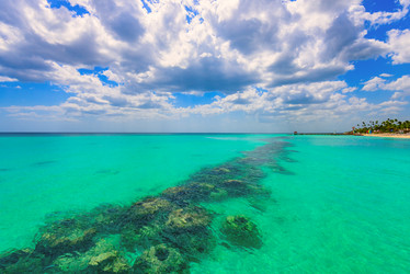 Similar image 17819710