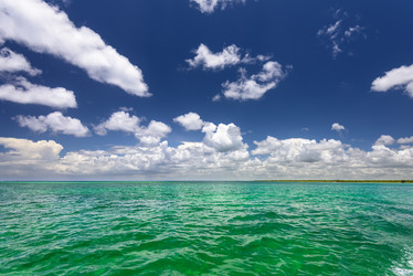 Similar image 17819740