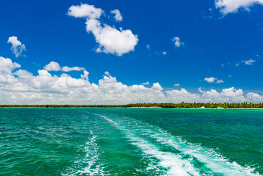 Similar image 17819757