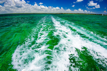 Similar image 17819760