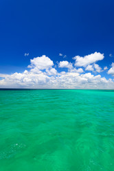 Similar image 17819771